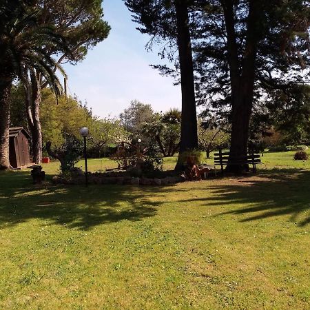 Capolinea Al Mare Bed and Breakfast Orbetello Eksteriør billede