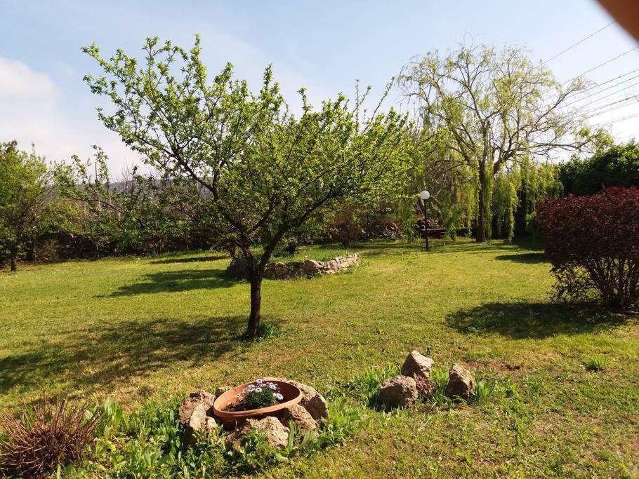 Capolinea Al Mare Bed and Breakfast Orbetello Eksteriør billede
